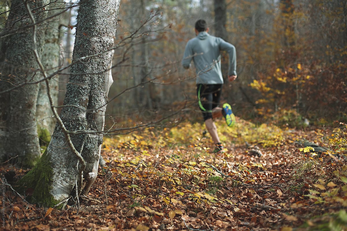 Trail runner training outdoors in the forest