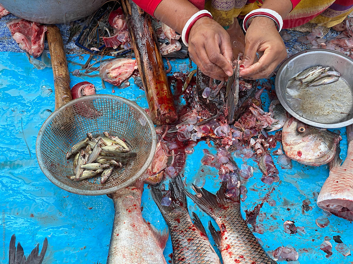 Fisher woman cutting fishes in a local market