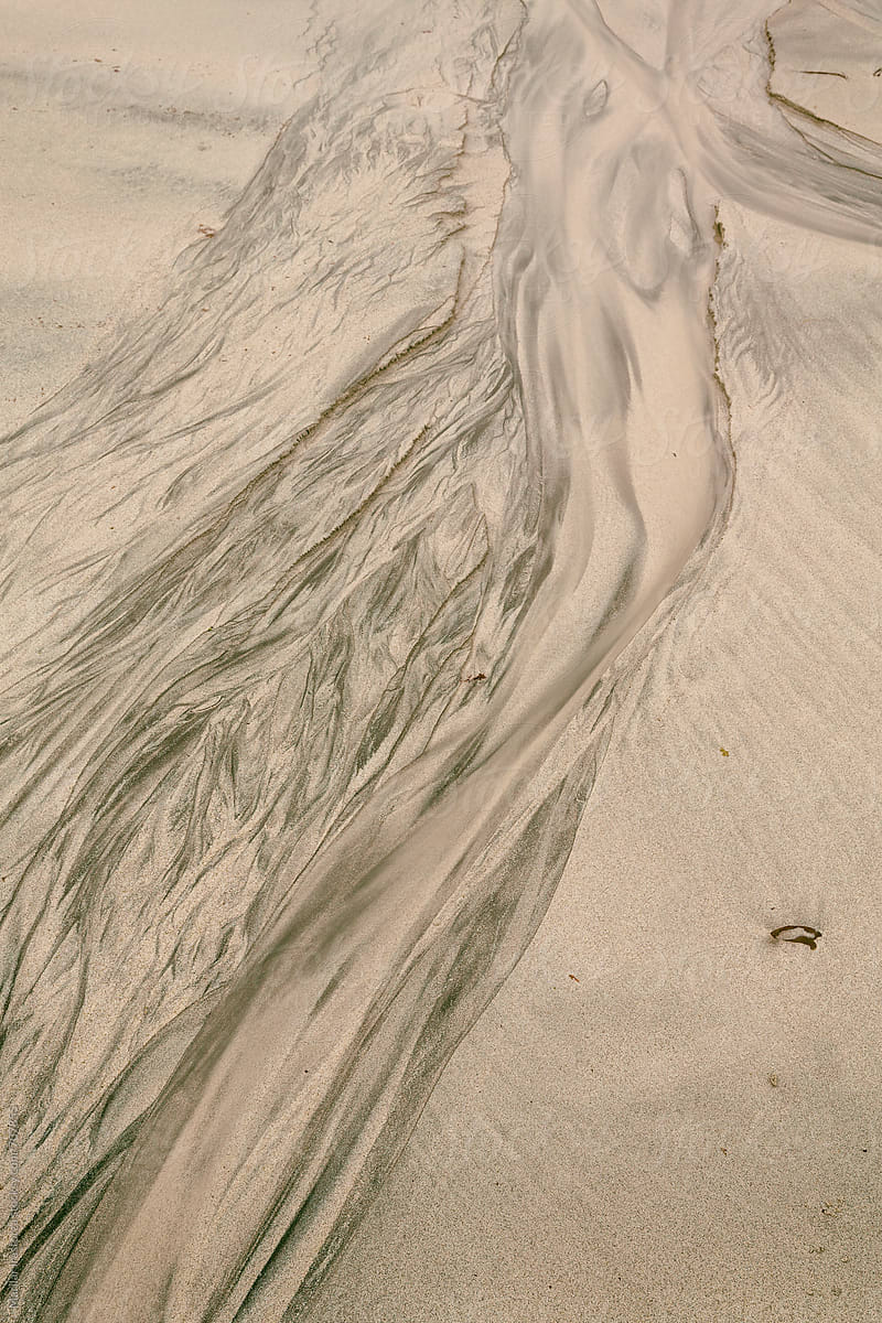 Patterns and textures in wet sand formed by receding tide