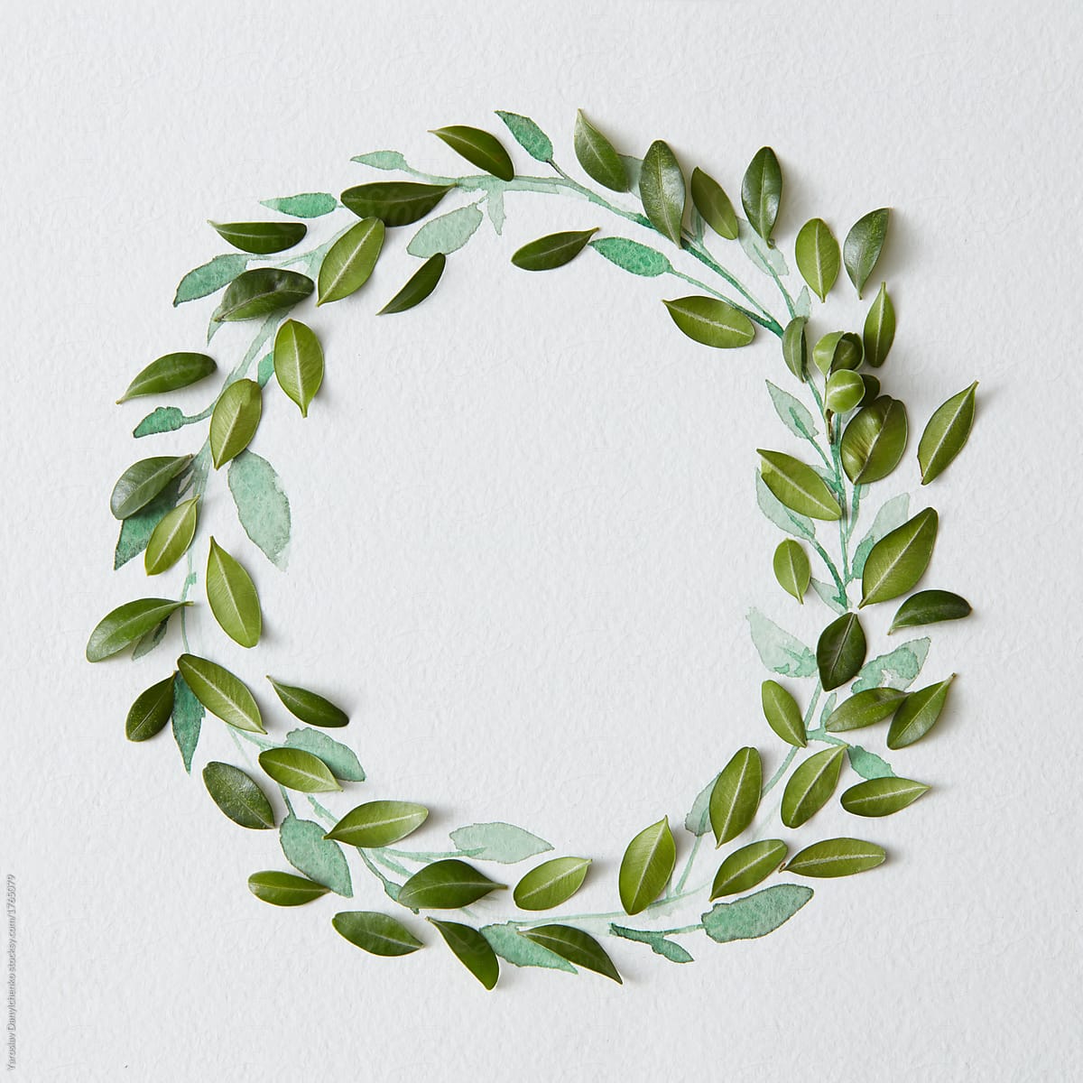 frame of leaves on a gray background