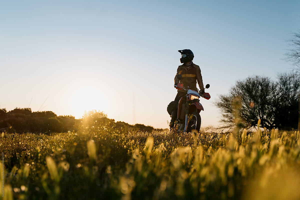 Motorcycle rider backlit in field of flowers