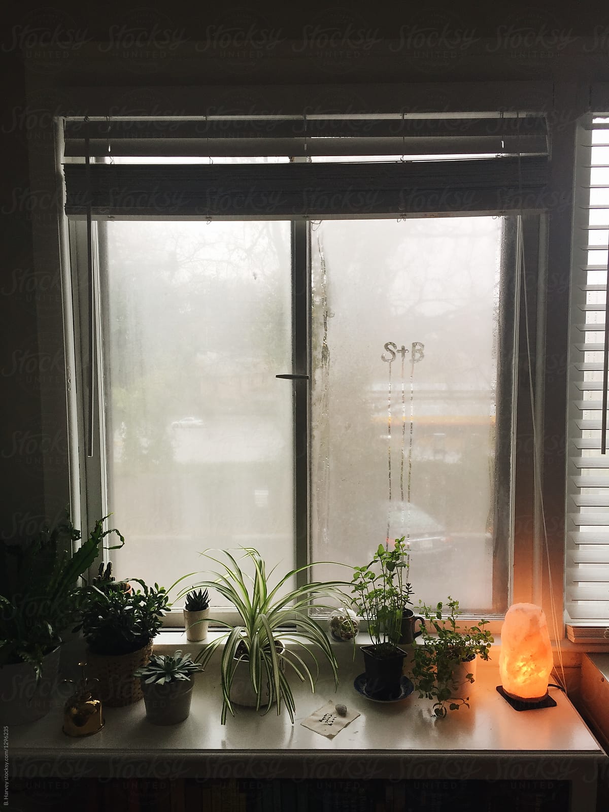 Foggy Window