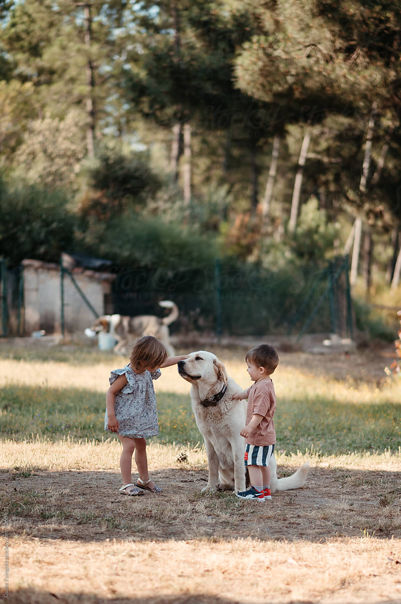 Children with dog in backyard.