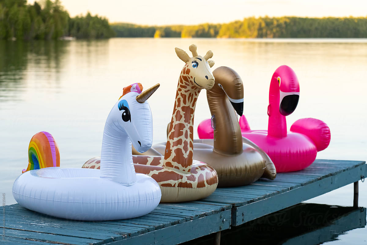 Inflatable Pool Toys At Summer Cottage