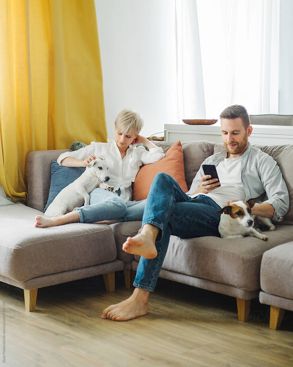 Young beautiful couple with dog sitting on the sofa . Stylish man uses a smartphone