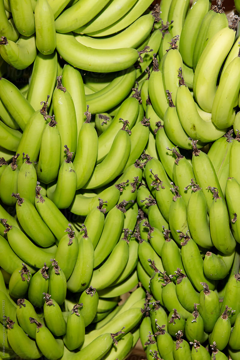 Big branches of bananas