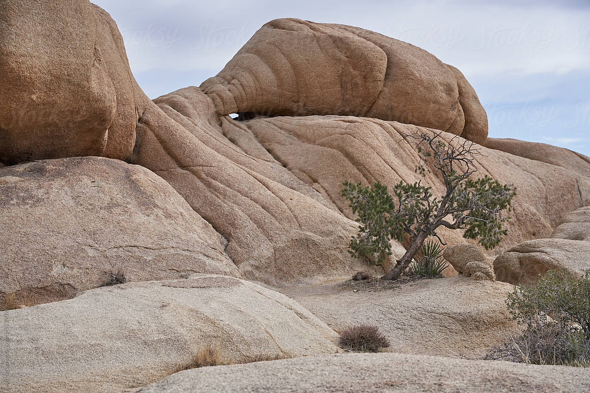Rock formations in Joshua Tree National Park