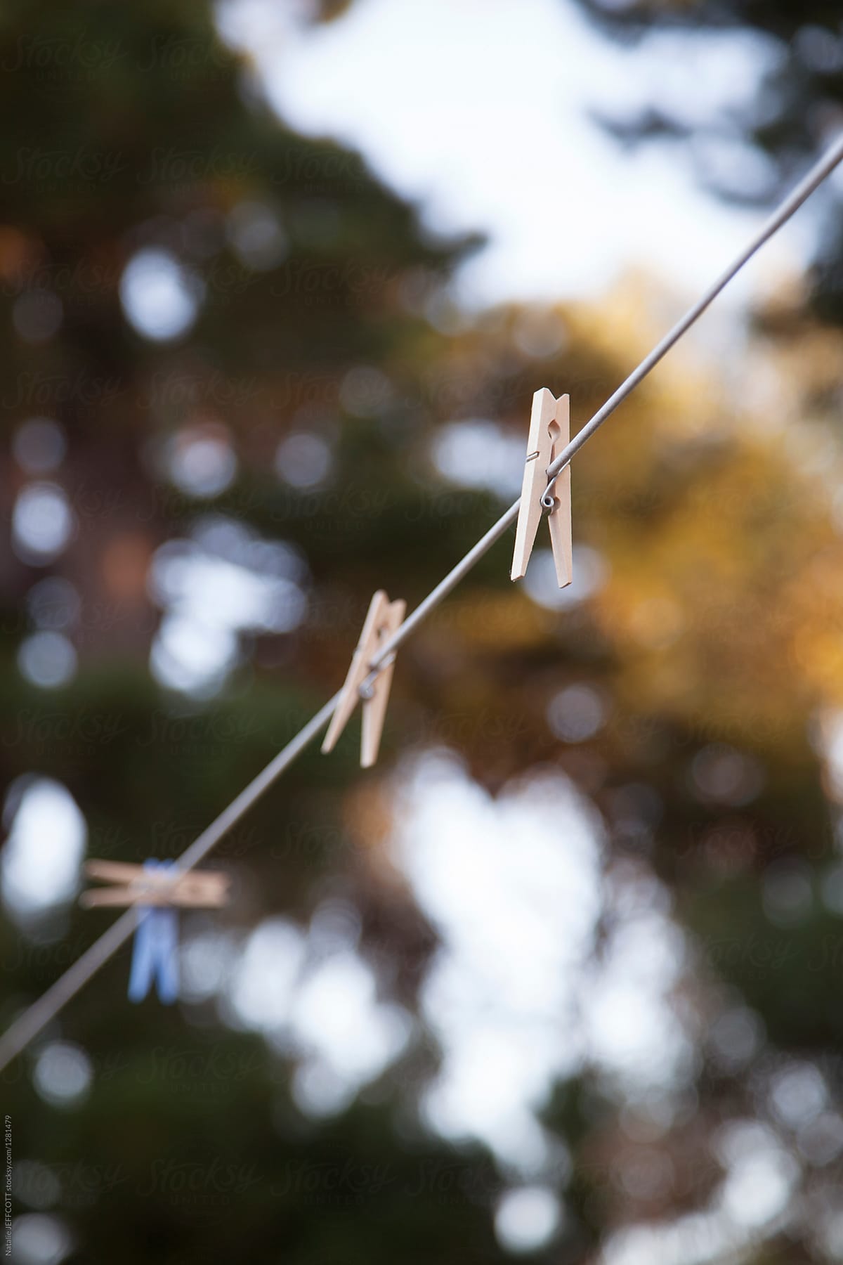 wooden pegs on clothesline at sunset with trees