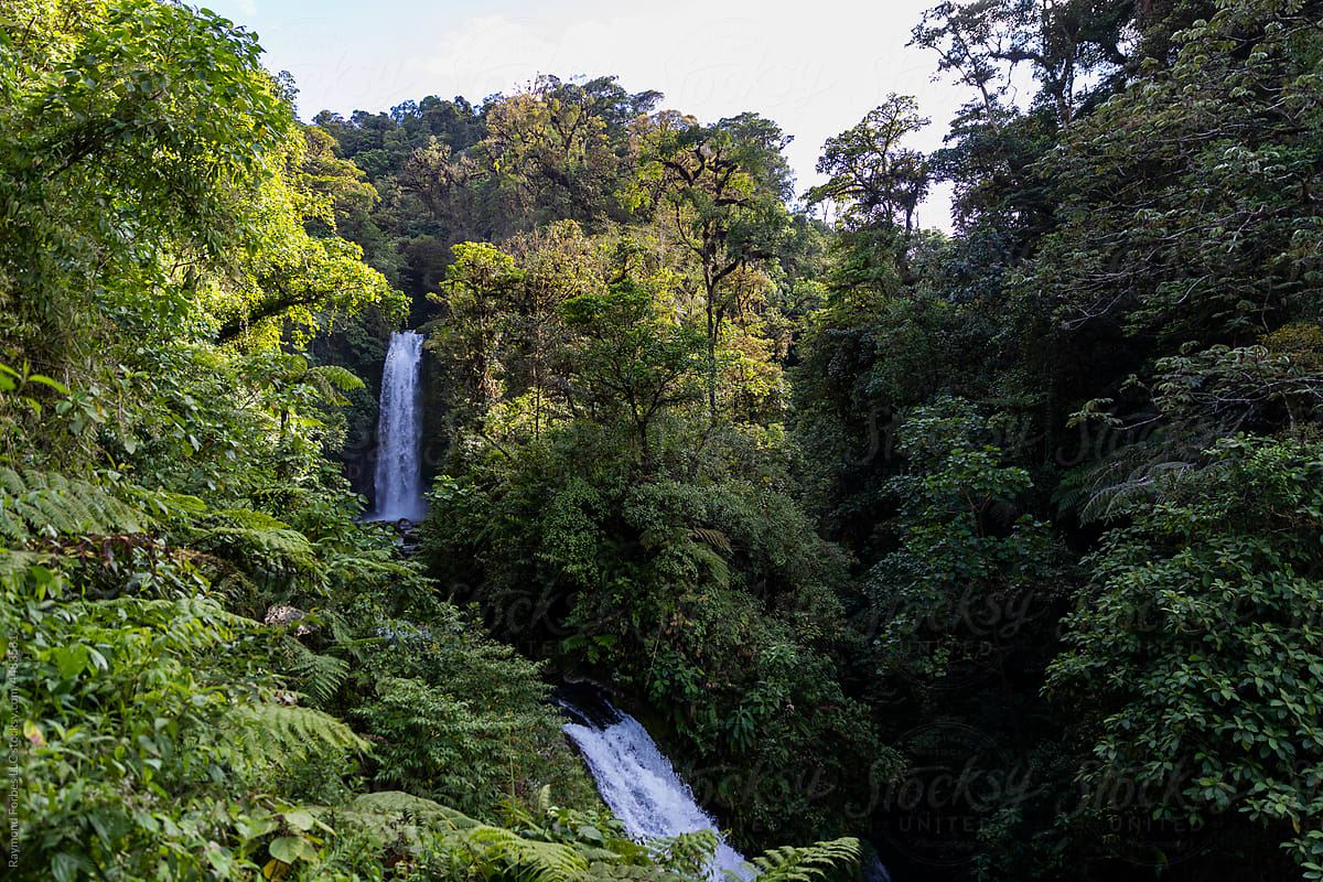 Beautiful Waterfall Cascade Landscape in Costa Rica Rainforest
