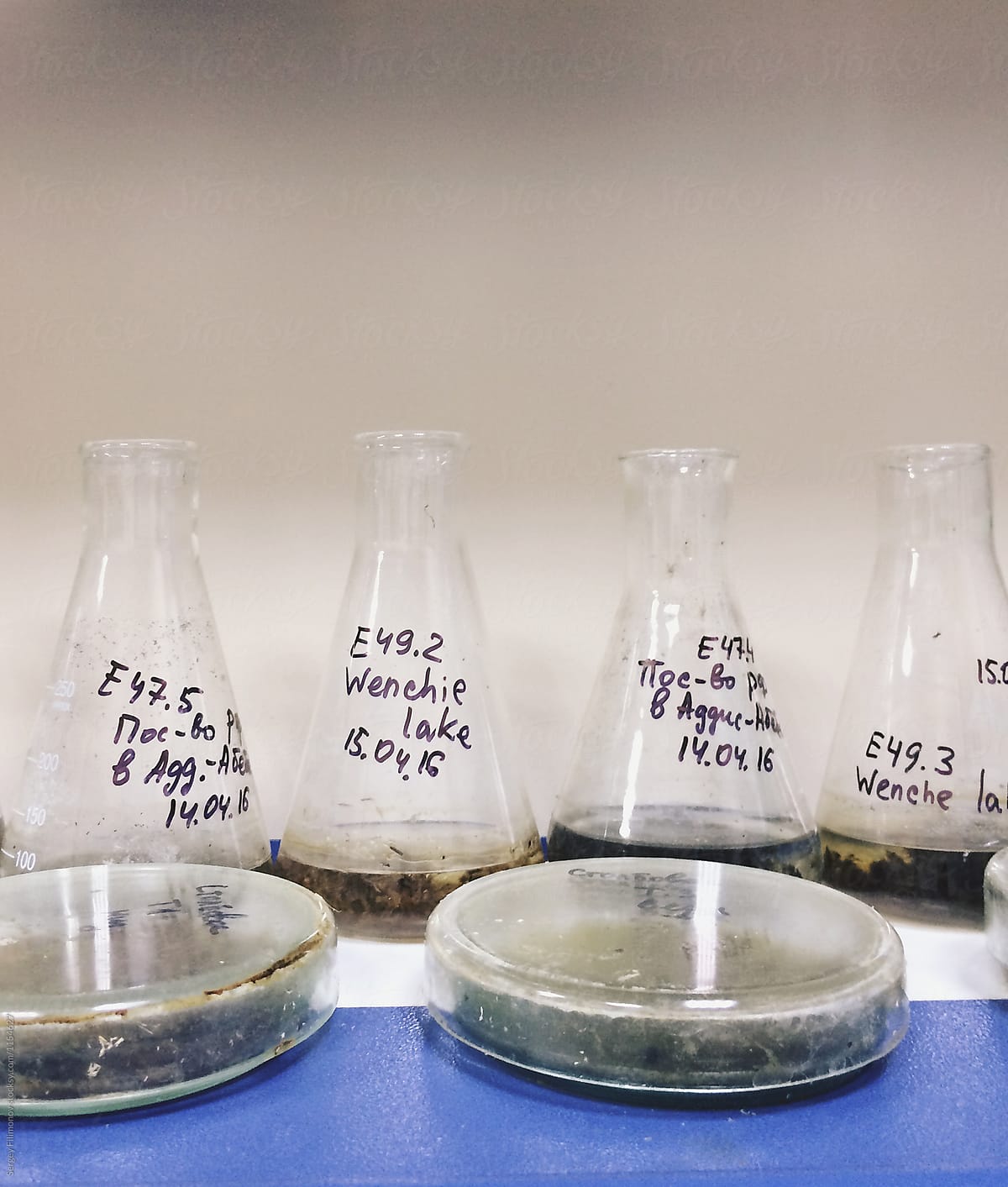 Flasks in medical laboratory with samples of water from the lake