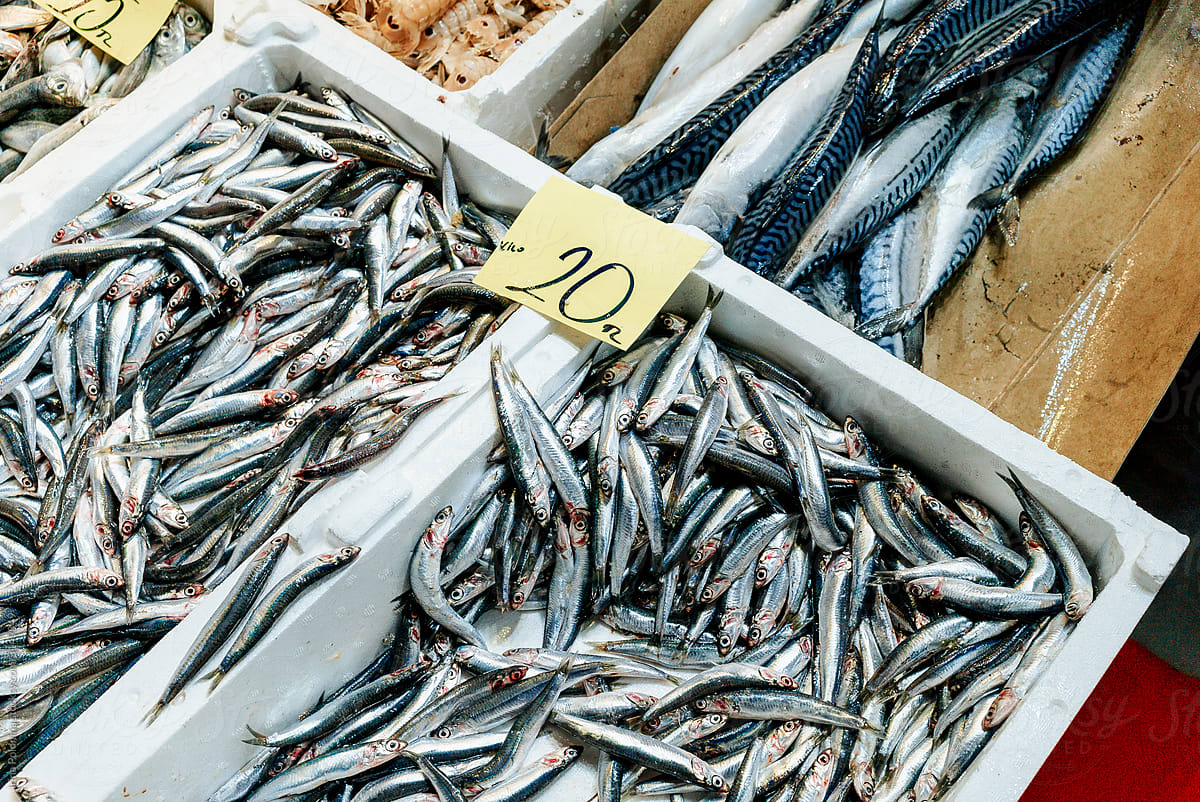 Sea fish on the market.