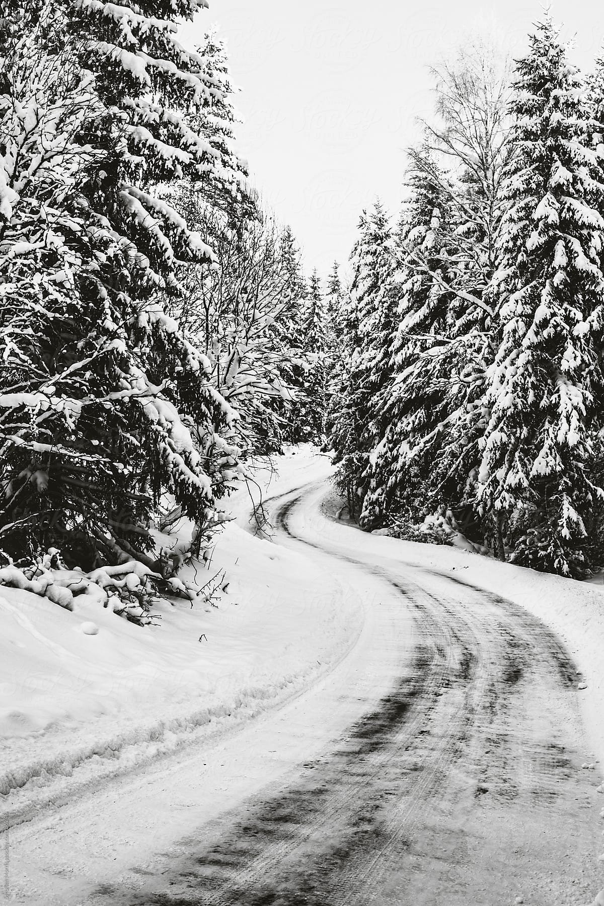 Empty Winter Road