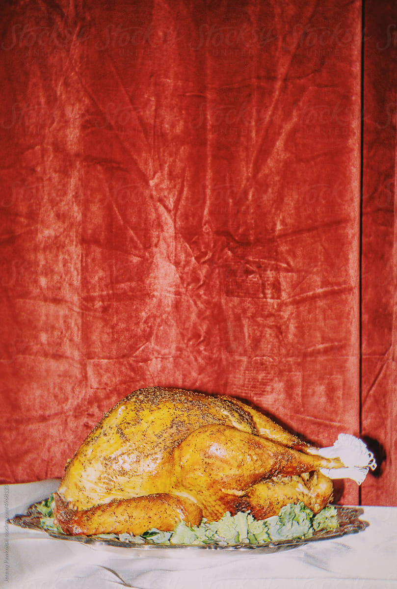 Vintage Holiday Turkey