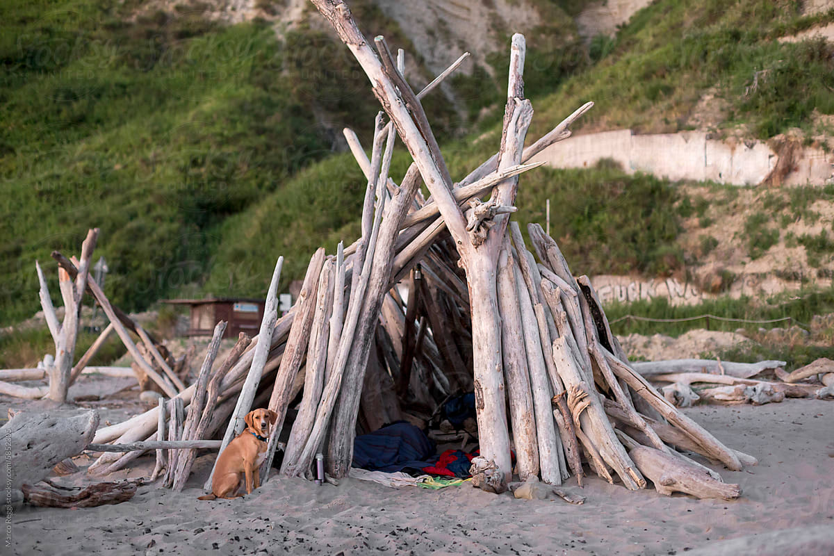 wooden beach hut made of trees trunks