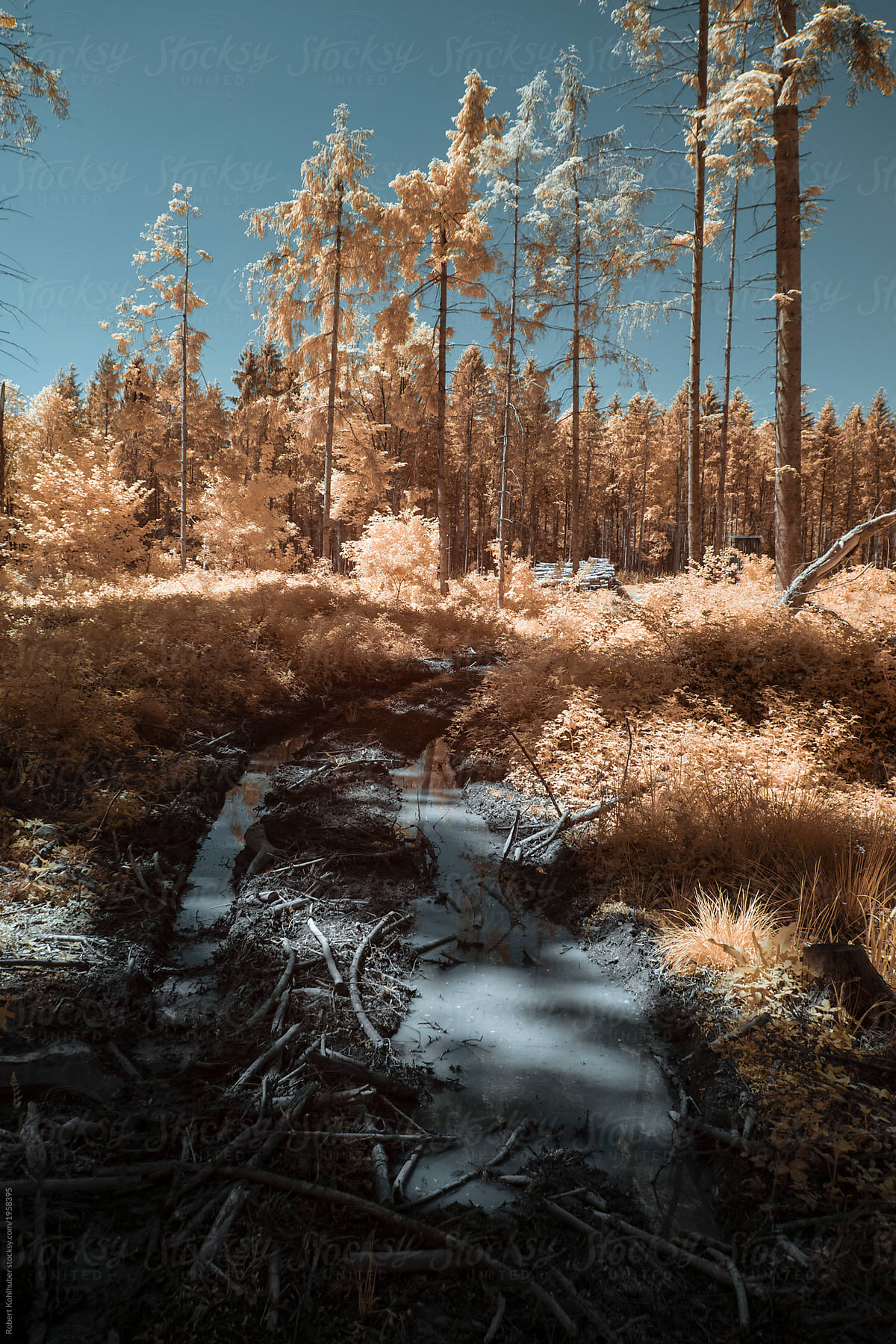 Rural forest during spring in austria, shot in Infrared IR
