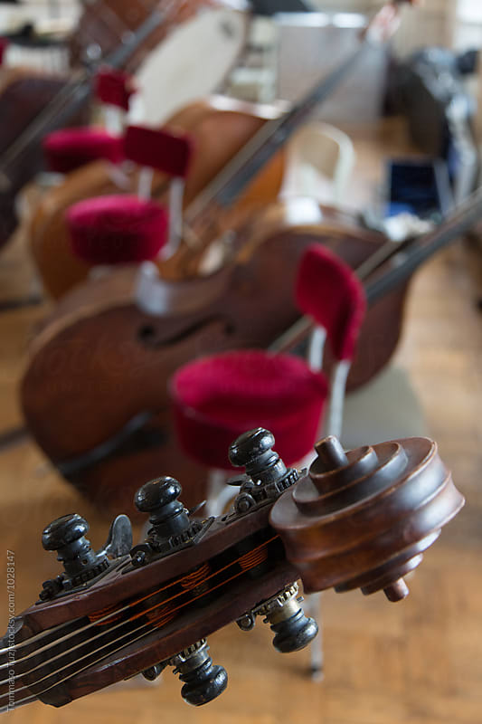 Cello Scroll and Tuning Pegs