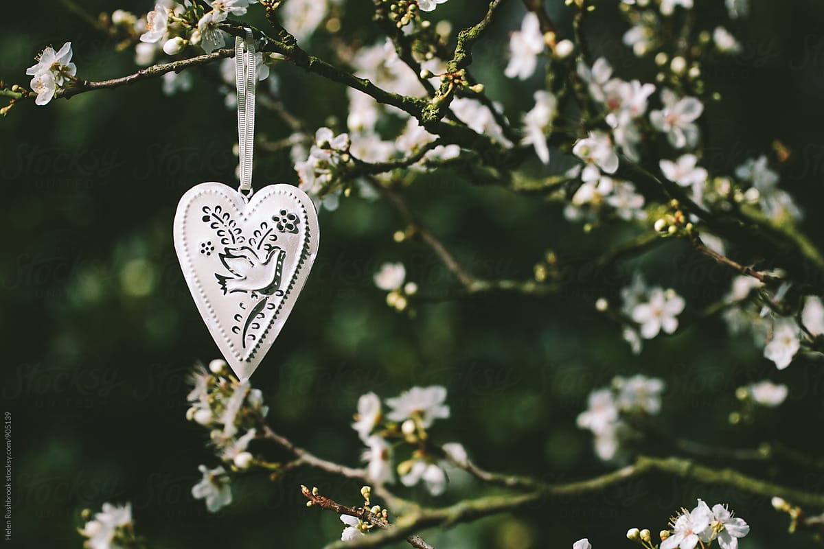 White Metal Heart Decorations Hanging In A Blossom Ree by Stocksy  Contributor Helen Rushbrook - Stocksy