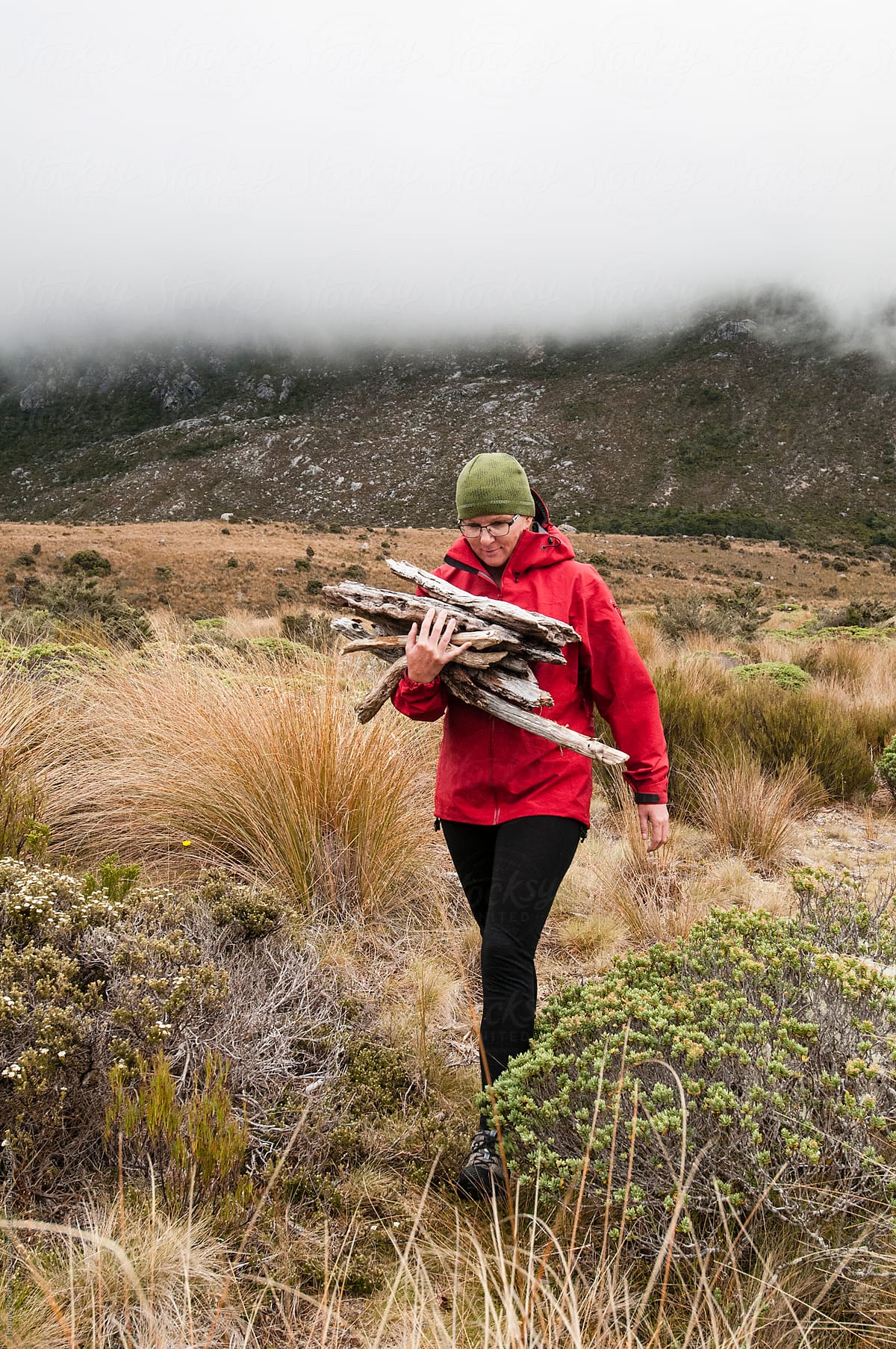 Woman carrying wood to a hut, Kahurangi National Park, New Zealand.
