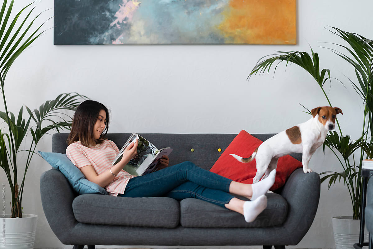 Young Asian woman reading magazine on couch near dog