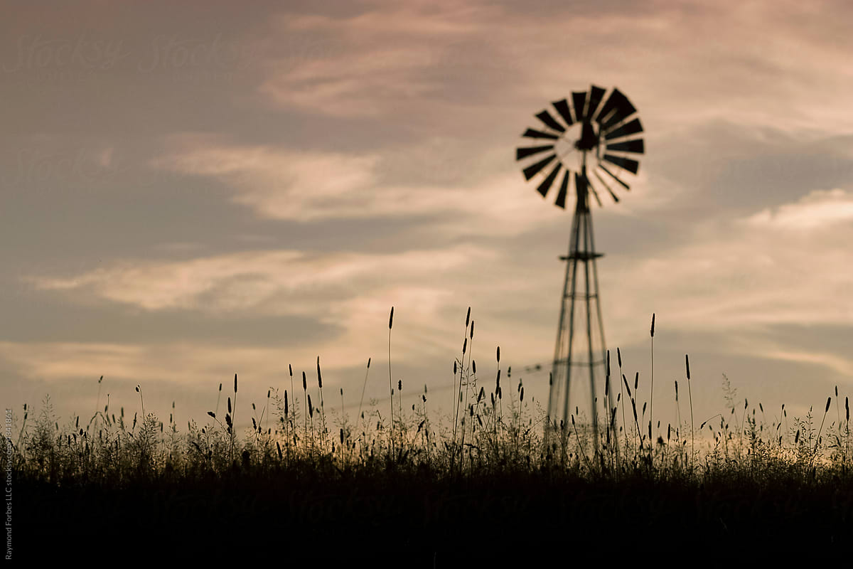 Windmill Landscape in field at rural farm