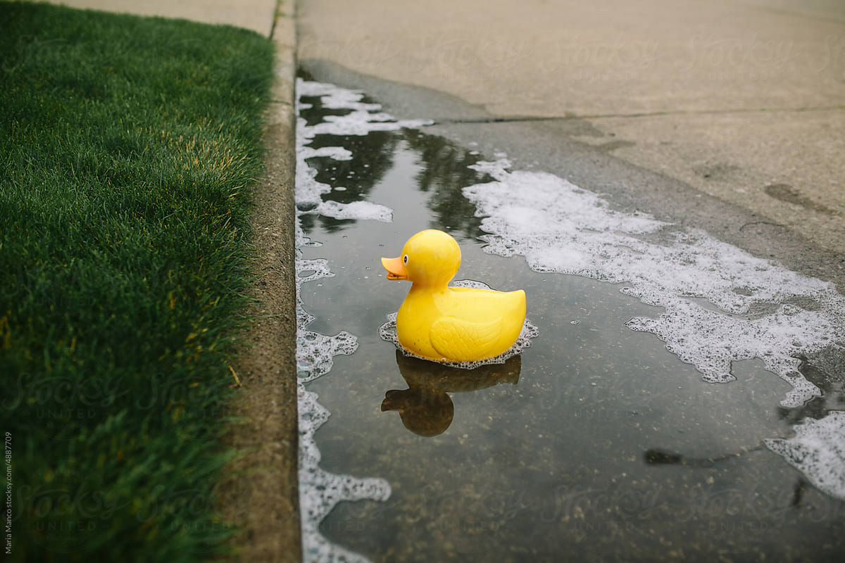 large yellow rubber duck floating in puddle