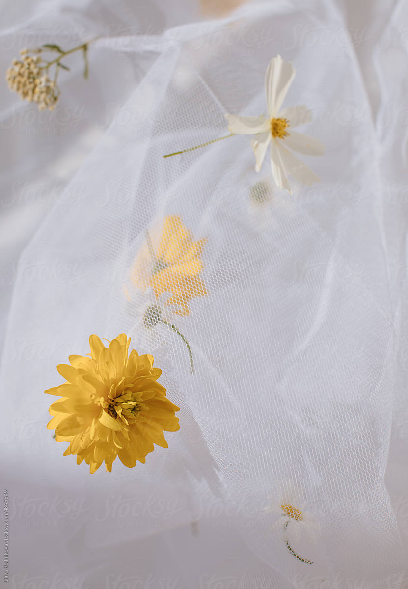 Tender flowers on white veil