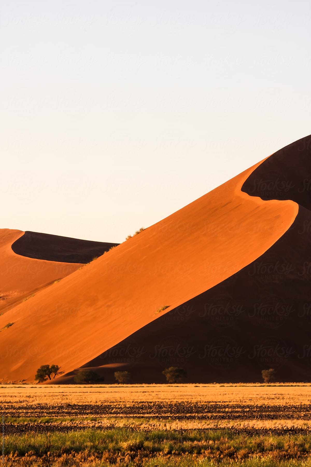 Red Sand Dunes At Sunrise by Stocksy Contributor Jonatan Hedberg -  Stocksy