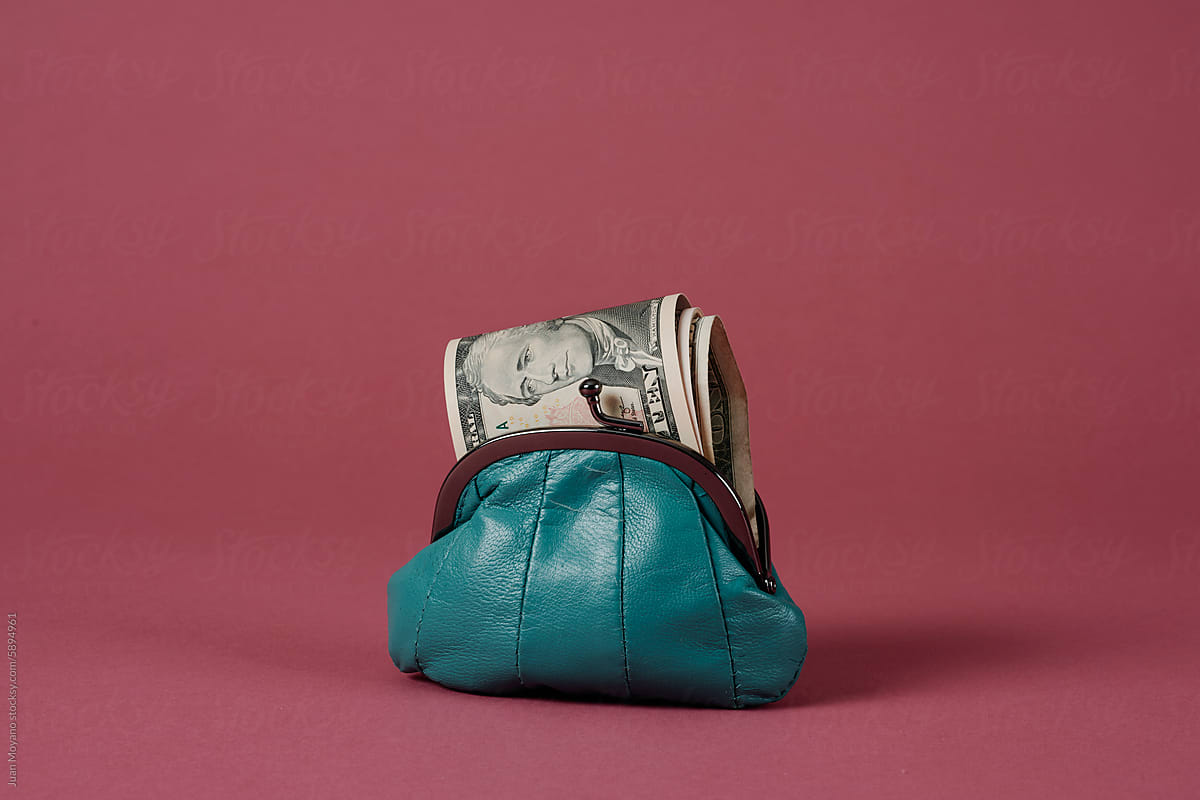 dollar banknotes in a blue leather purse