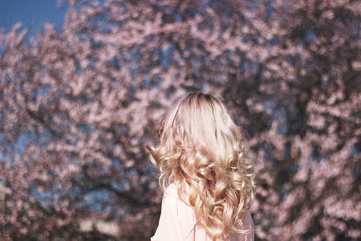 Young woman looking at cherry blossom tree.
