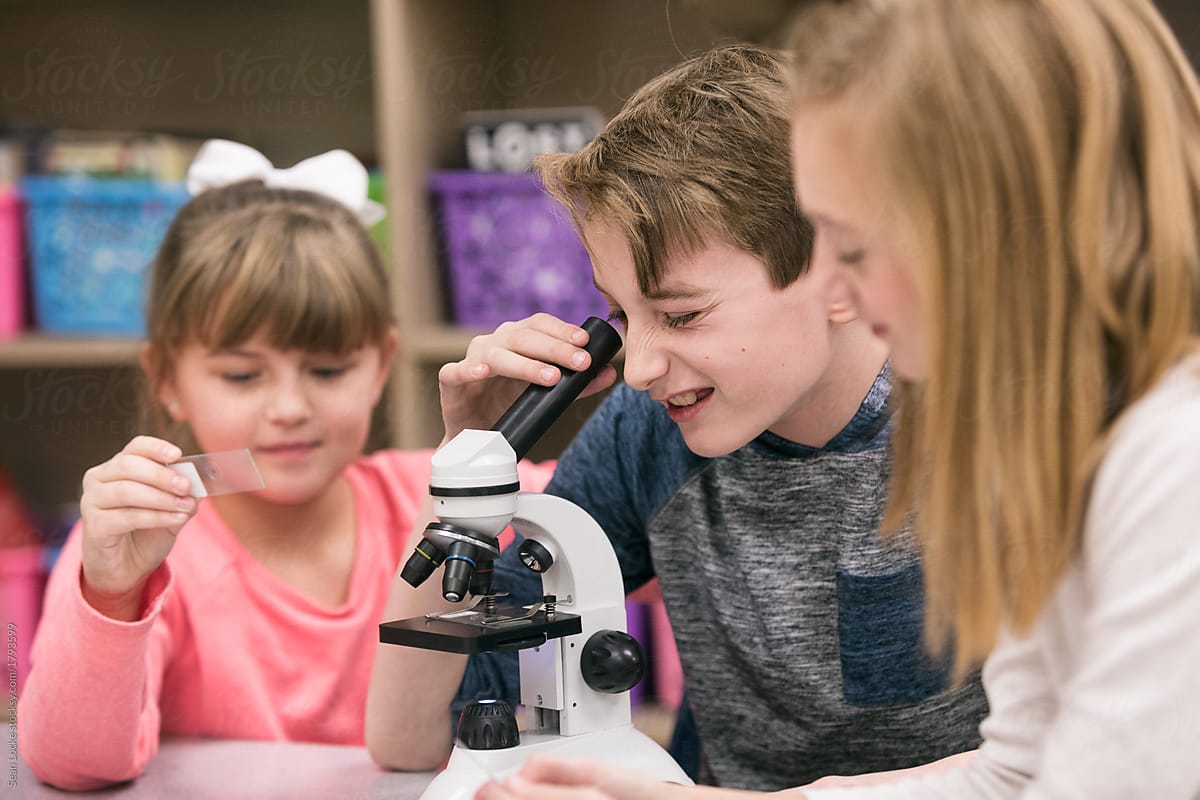 Classroom: Boy Looks Through Microscope