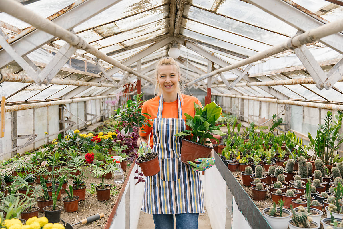 Happy florist holding flowerpots in greenhouse