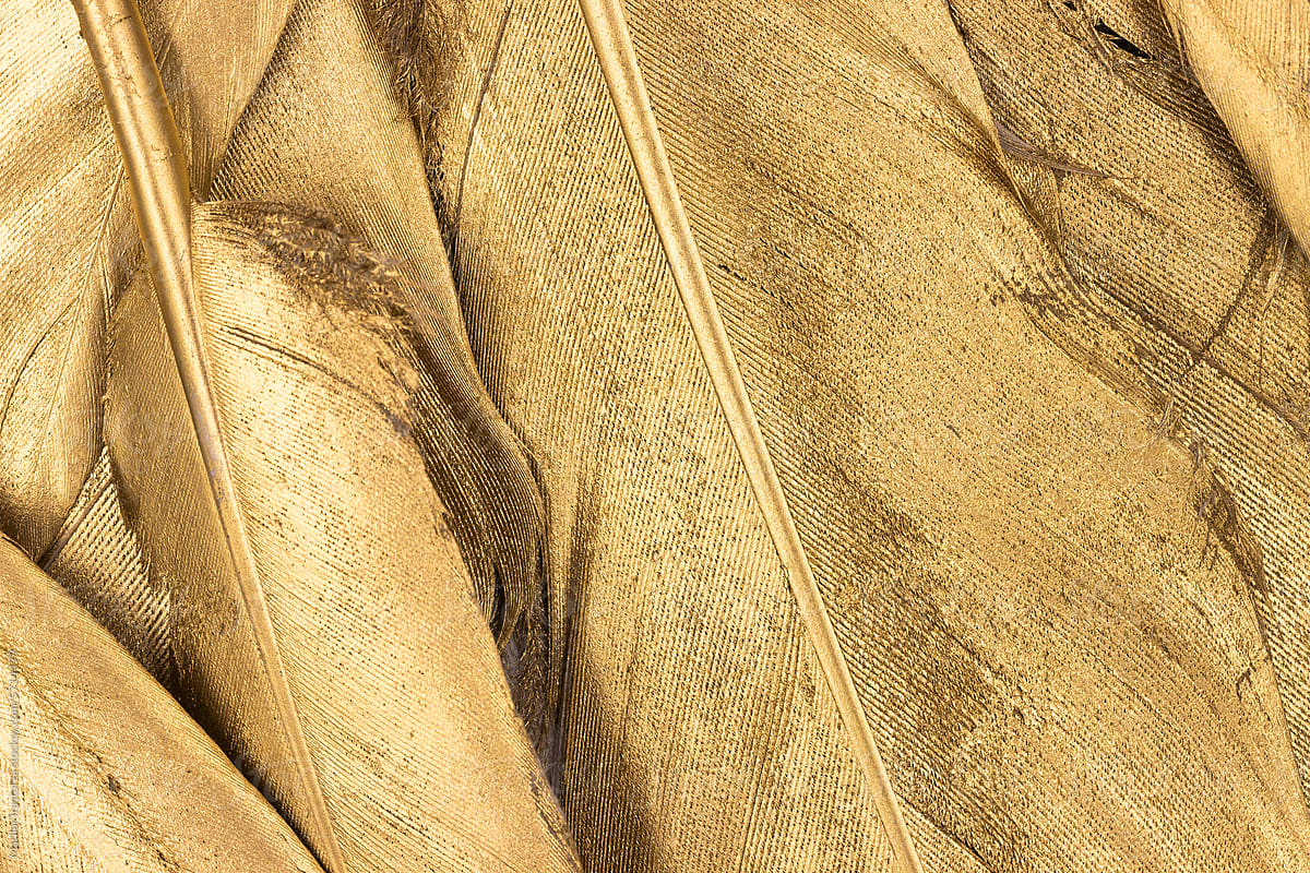 Detail Of Golden Feathers