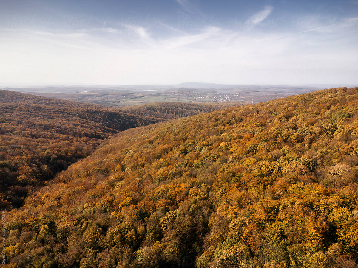 Drone shot of forest autumn landscape at sunset