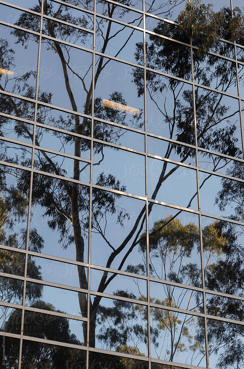 Australian office building reflections