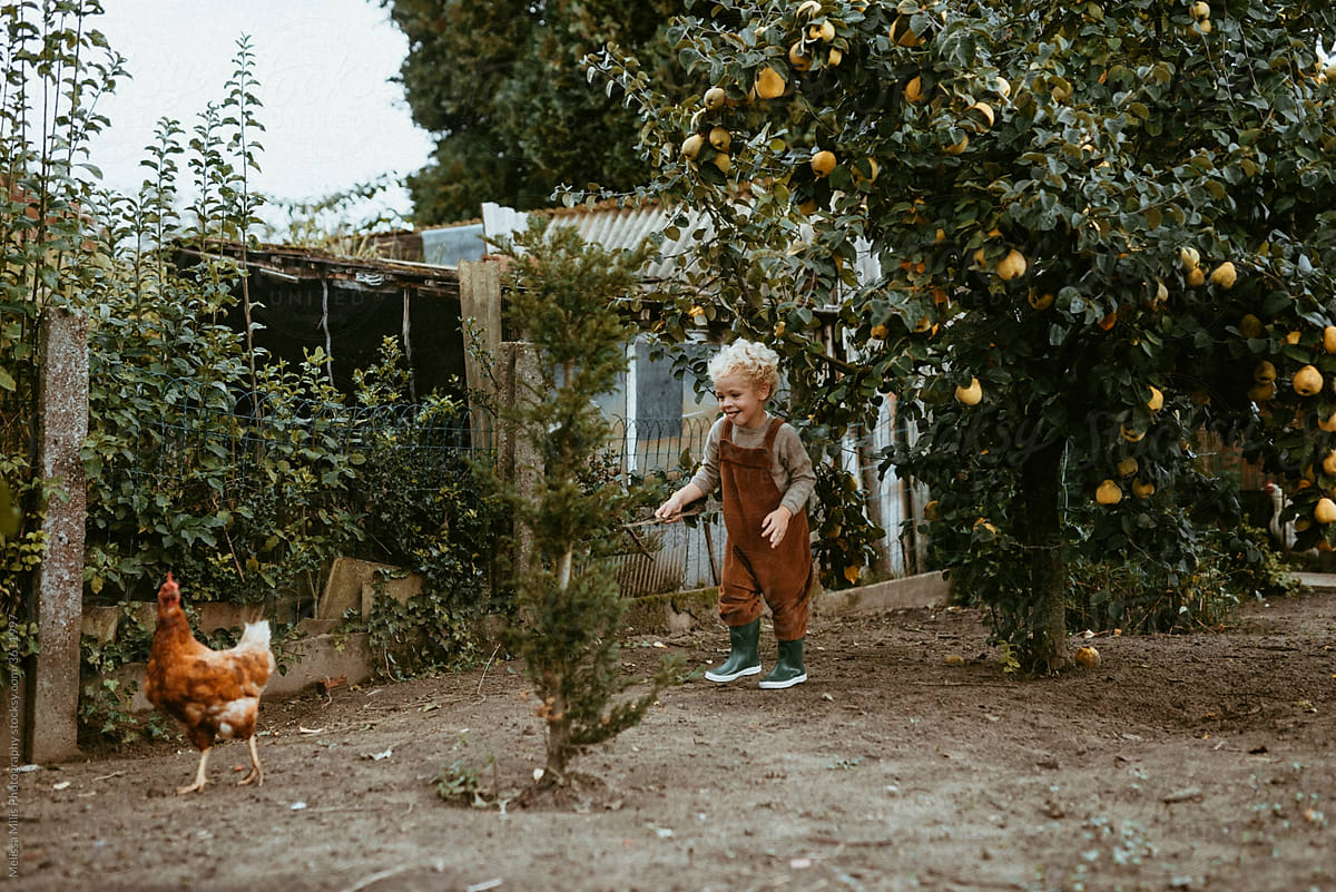 Blond kid in the garden running after a chicken