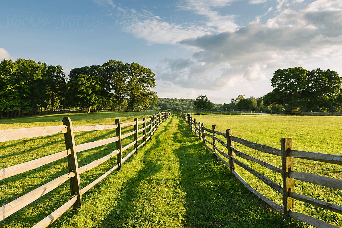 Summer Farm Landscape with Path