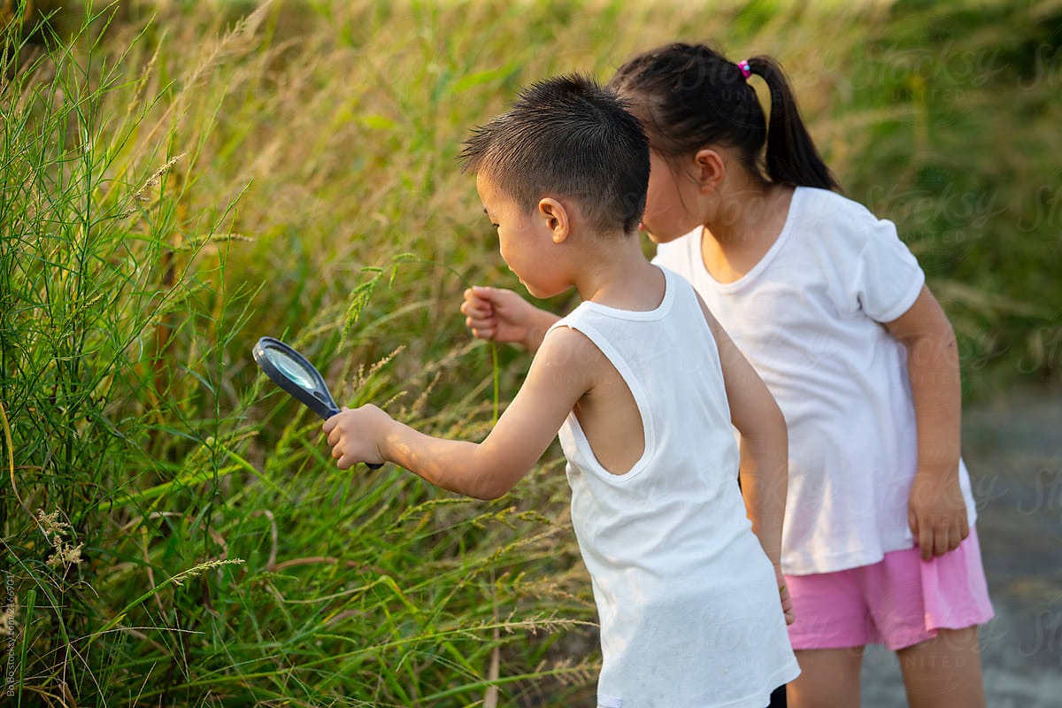 Two kids using magnifier looking insects outdoor