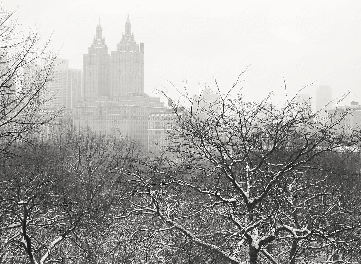 New York Winter - Looking out over Snow-Covered Trees