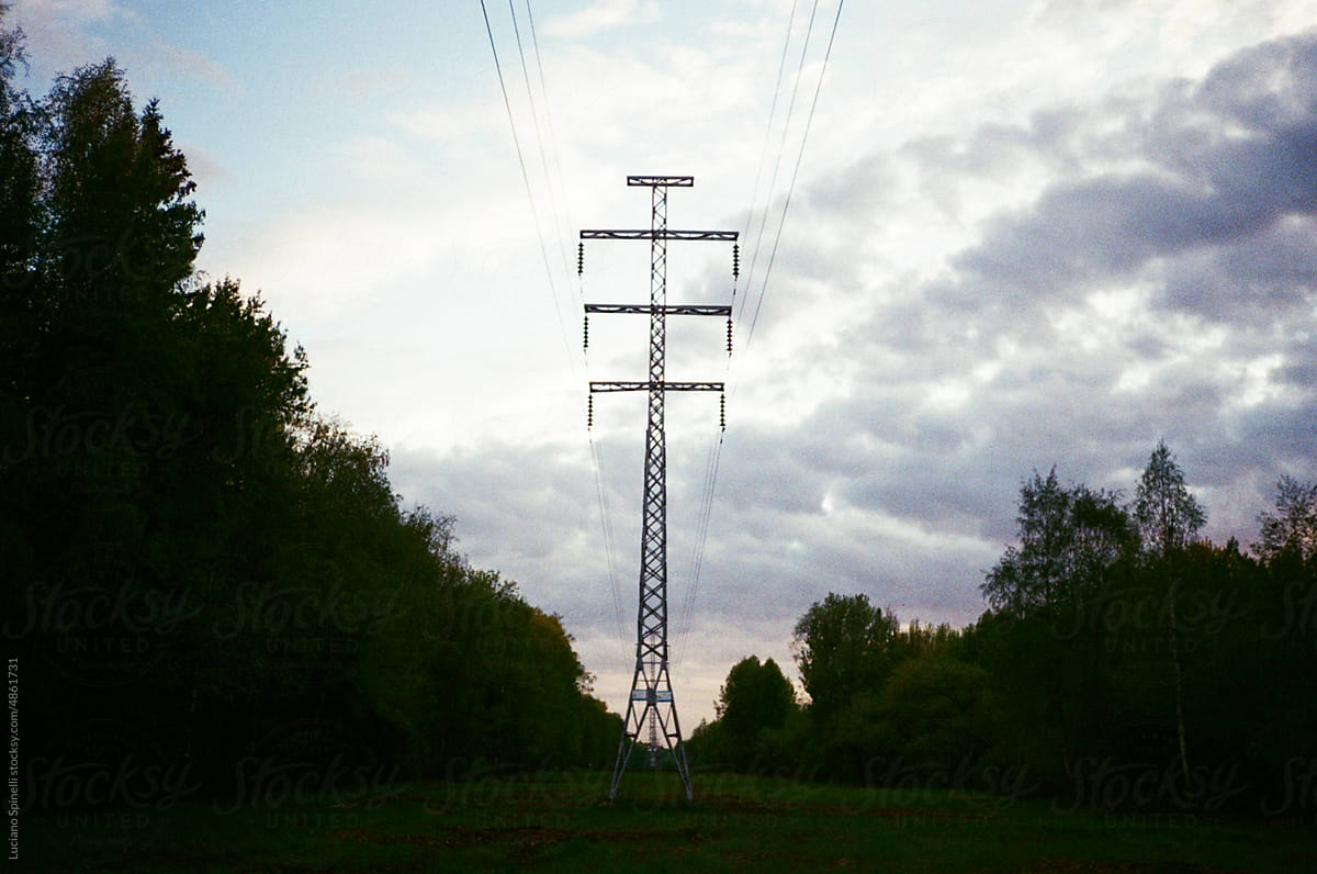 High-voltage lines and pole in the middle of a forest