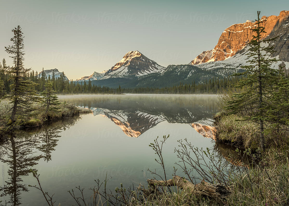 Fog stillness and reflection.  Sunrise at Bow Lake.  Rockies.  Canada