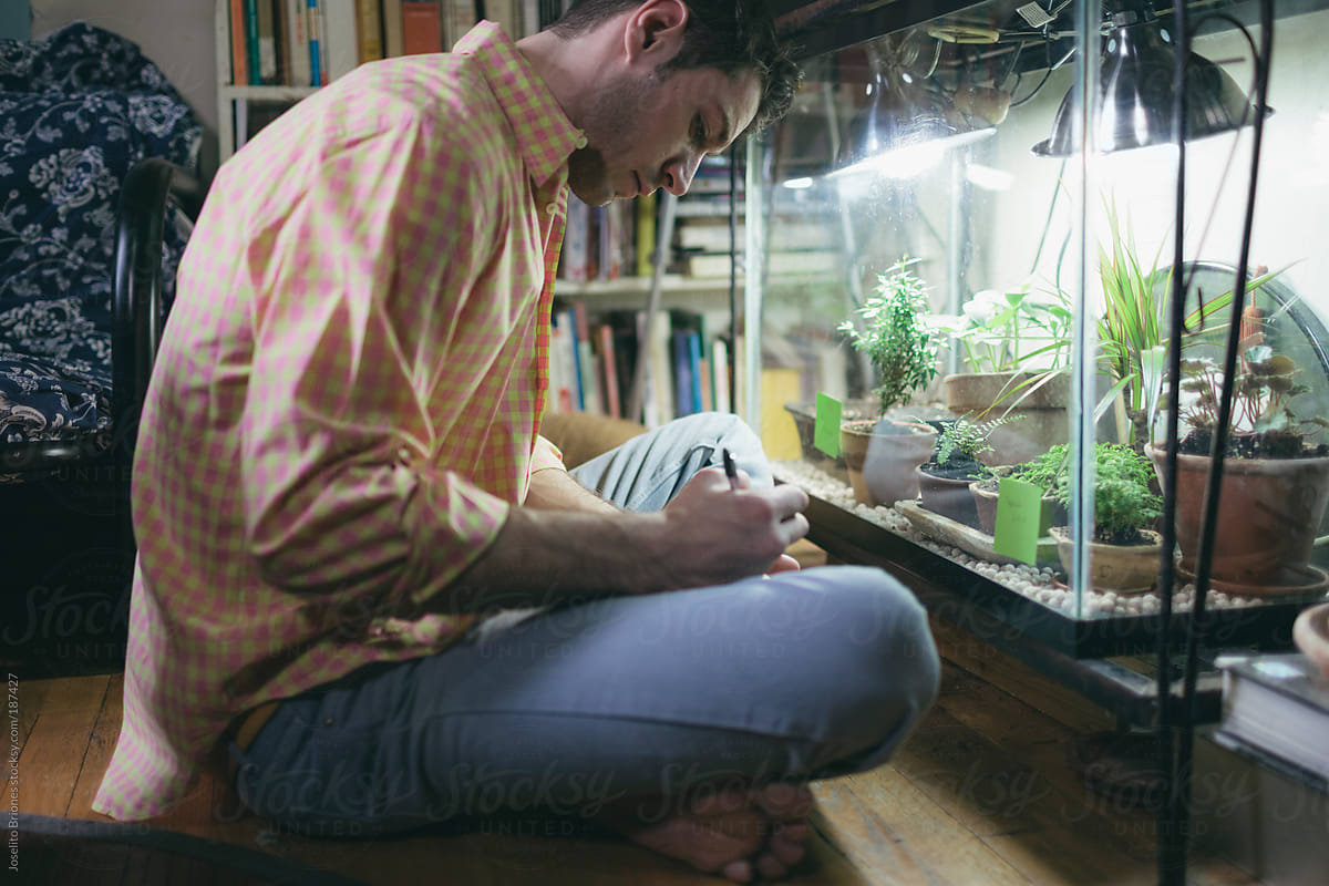 Man Writes and Sticks Labels on Terrarium to Identify Plants and Seedlings Inside