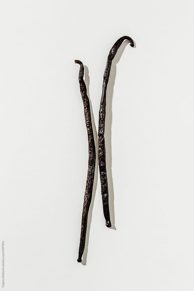 vanilla-beans-by-stocksy-contributor-tatjana-zlatkovic-stocksy