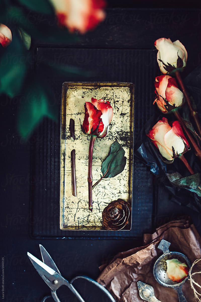 Old fashioned red roses still life