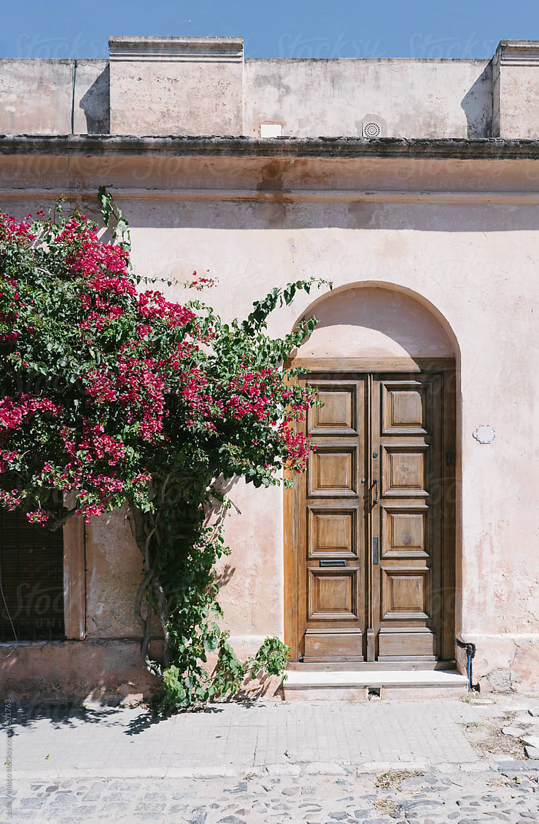 Pink Facade With A Wooden Door And Flowers.