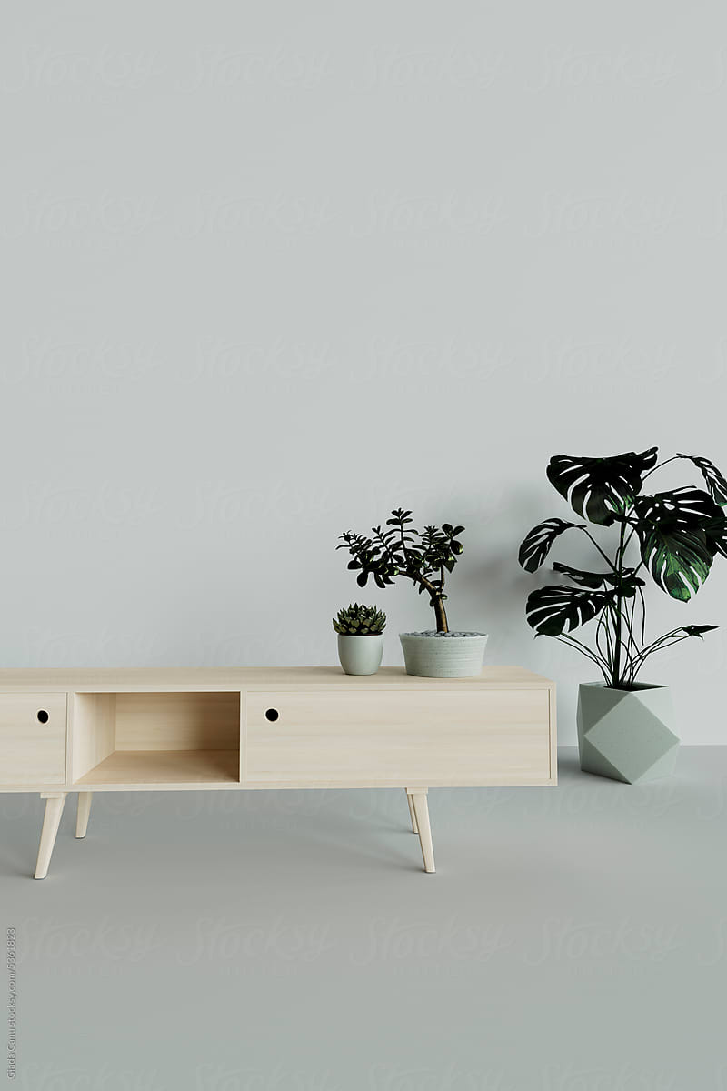 plants and wooden furniture