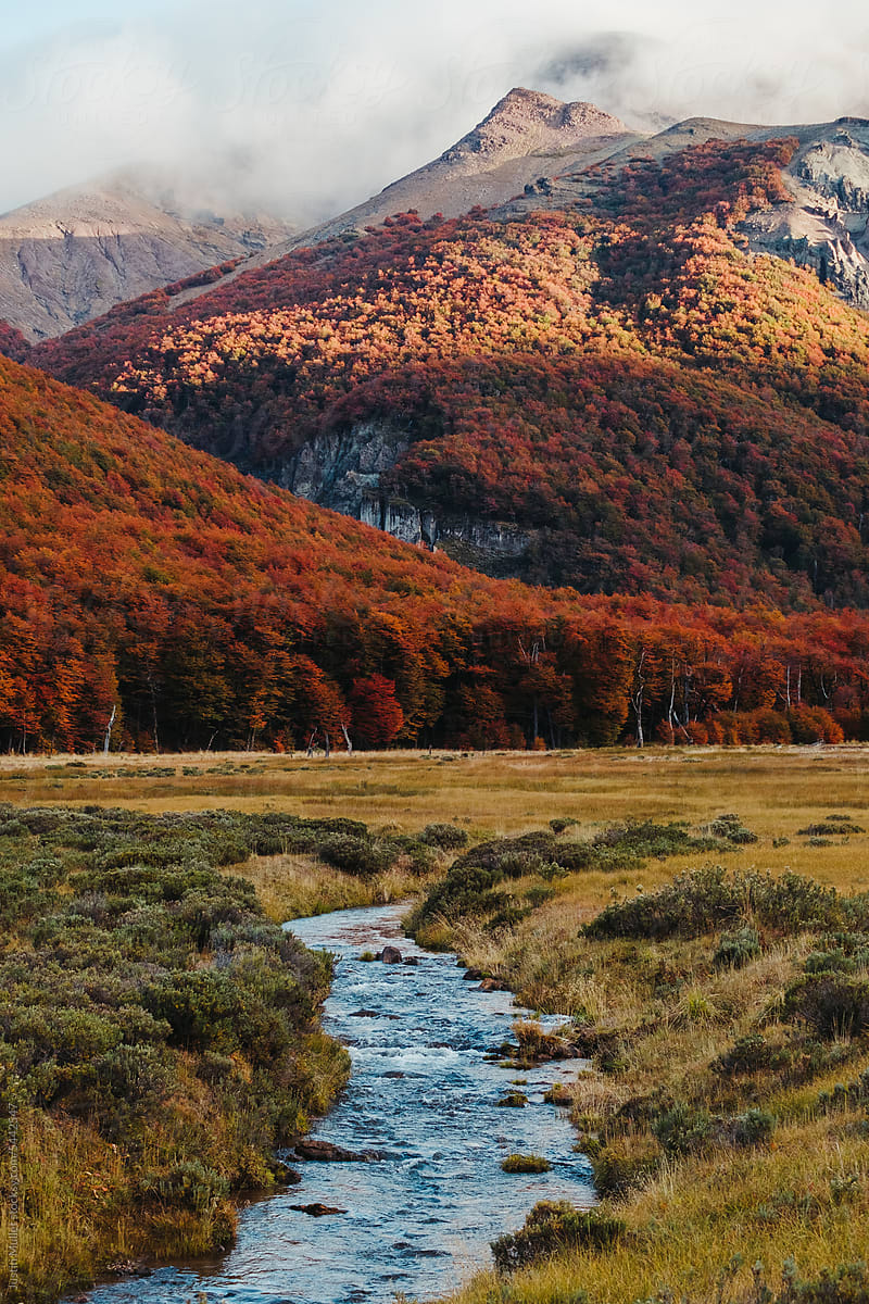 Beautiful fall landscape in Patagonia Chile