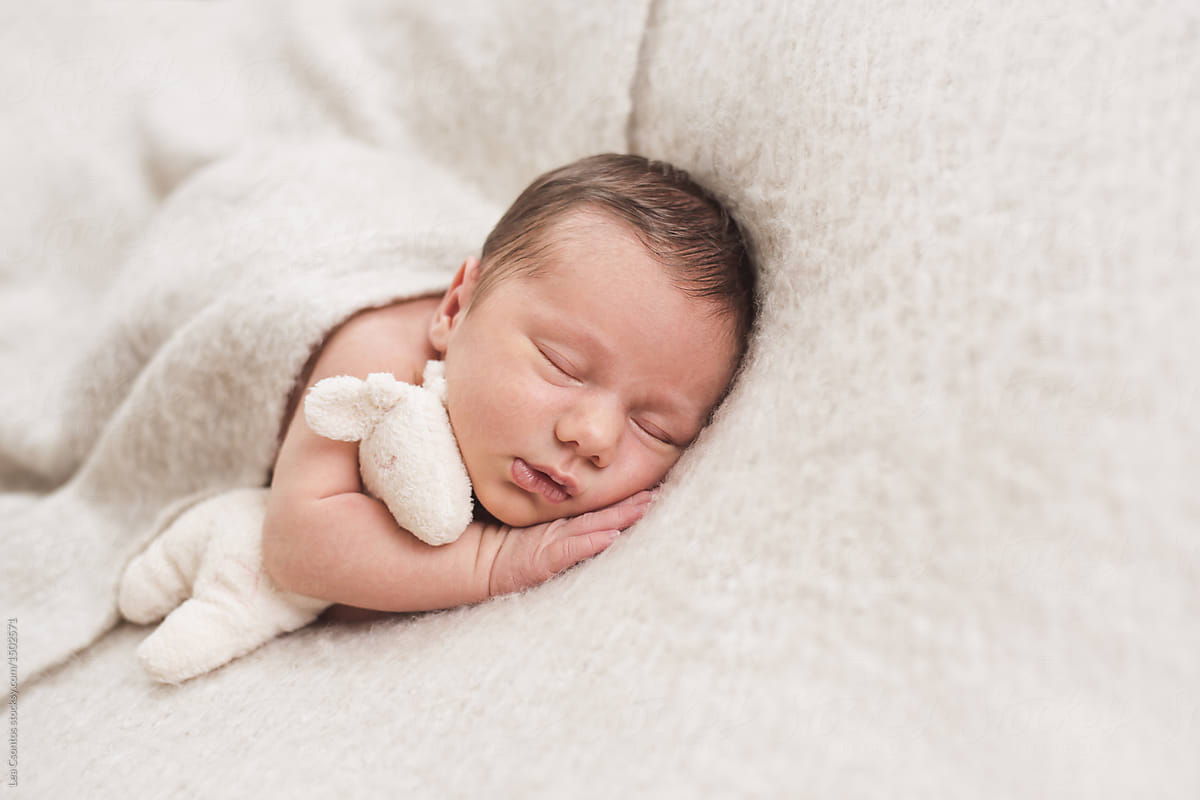 Beautiful sleeping newborn baby hugging her plush toy