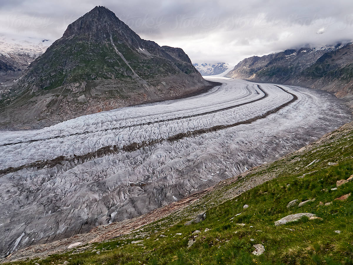 Ice of Aletsch Glacier, largest in Swiss Alps, vegetation now growing