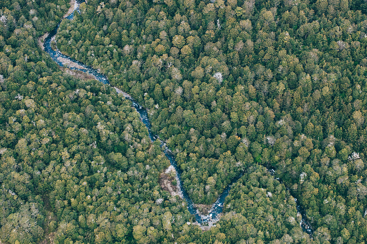 A river runs through vast forest.