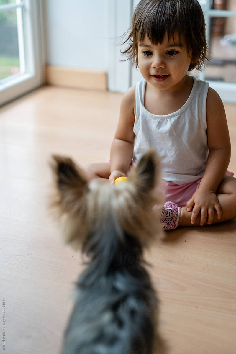 Happy Toddler and Puppy Enjoying Playtime at Home